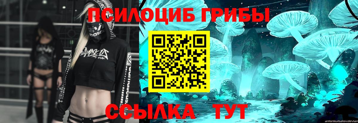 цена   Вход с VPN  Балашов  Псилоцибиновые грибы мухоморы 